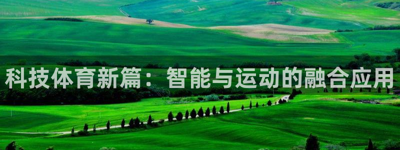 科技体育新篇：智能与运动的融合应用