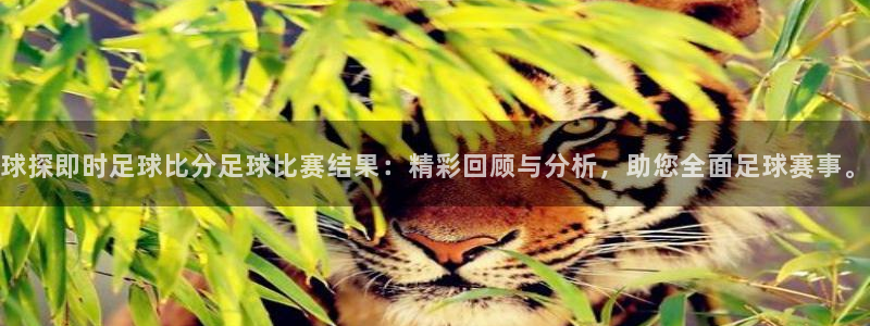 球探即时足球比分足球比赛结果：精彩回顾与分析，助您全面足球赛事。