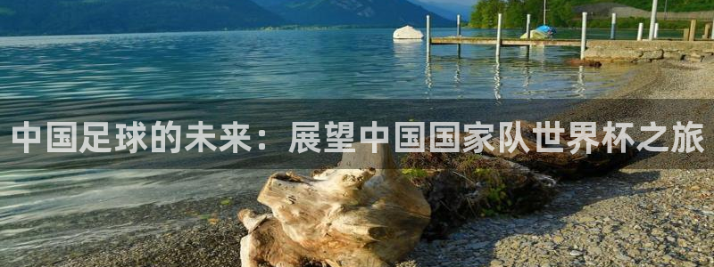 中国足球的未来：展望中国国家队世界杯之旅