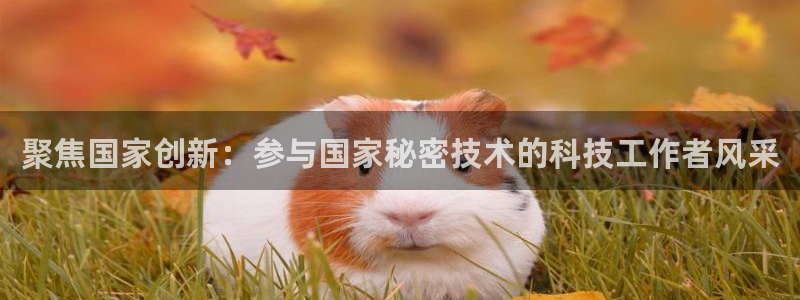 聚焦国家创新：参与国家秘密技术的科技工作者风采